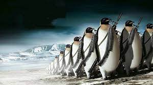 Picture of an Armada of Penguins